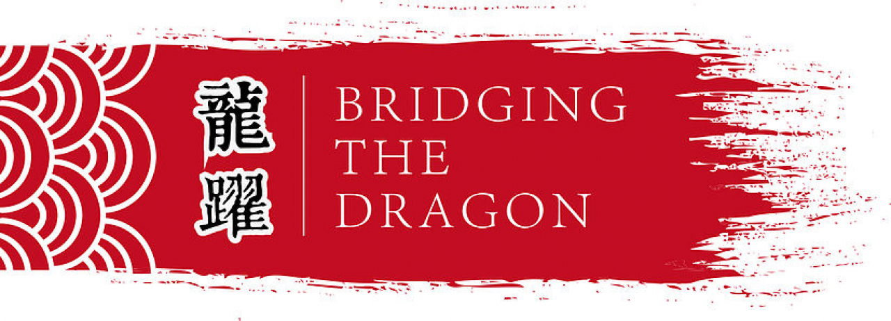 Bridging the Dragon - Sino-European Forum &amp; Pitching