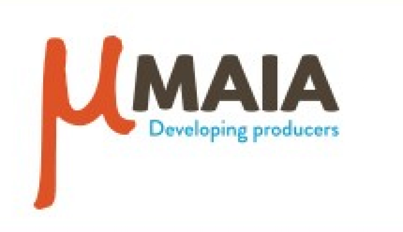 MAIA marketing &amp; distribution workshop